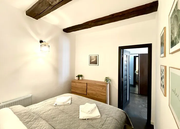 Cozy Center Apartment Brasov